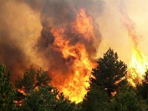 МЧС: В Среднеколымском и Верхнеколымском районах Якутии прогнозируется высокий класс пожароопасности