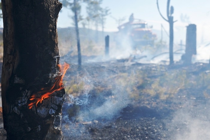 Площадь пожаров в Приамурье за сутки увеличилась почти в 20 раз