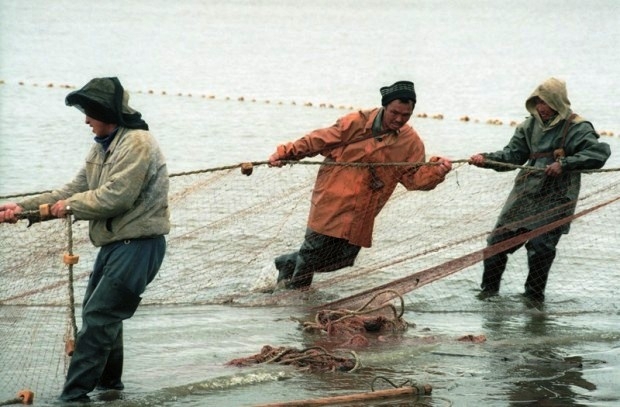 Переработчики якутской рыбы: отрасль губит неэффективное управление