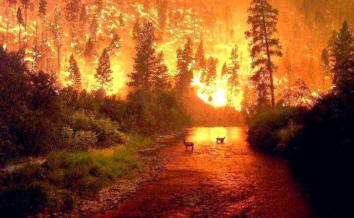 Пожароопасный сезон: как не допустить хакасской трагедии в Якутии