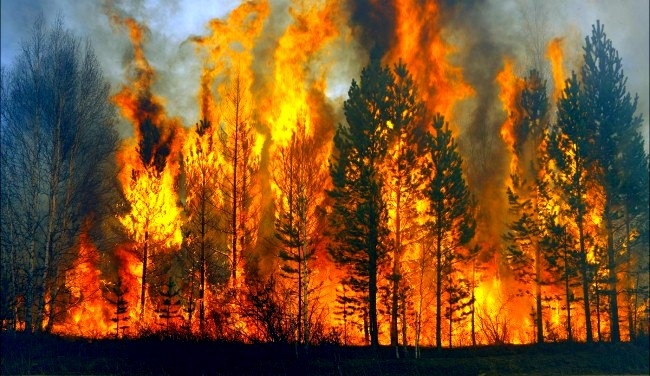 В Якутии на 19 мая действует один лесной пожар