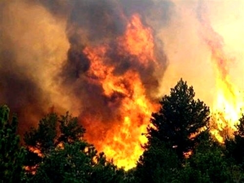 В Якутии на 18 июня действует один пожар