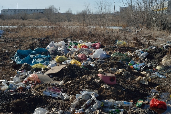 За мусор в Якутии хотят взяться всерьез