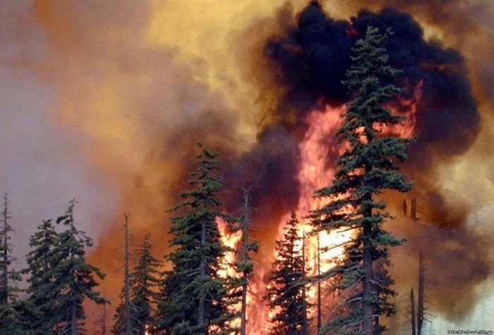 Лесные пожары перекинулись из Сибири и Дальнего Востока на Китай