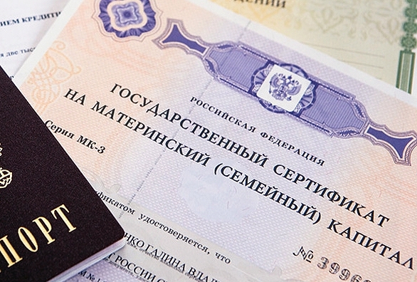 Граждане могут рассчитывать на единовременную выплату в 20 тысяч рублей из материнского капитала