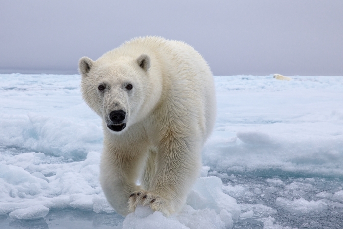 Фотограф из Якутии принял участие в выставке Арктика в Москве