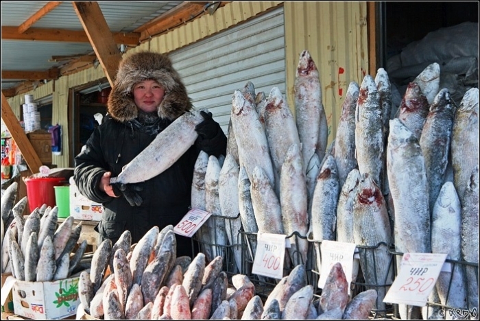 Минсельхоз Якутии незаконно распределял субсидии на рыбу  