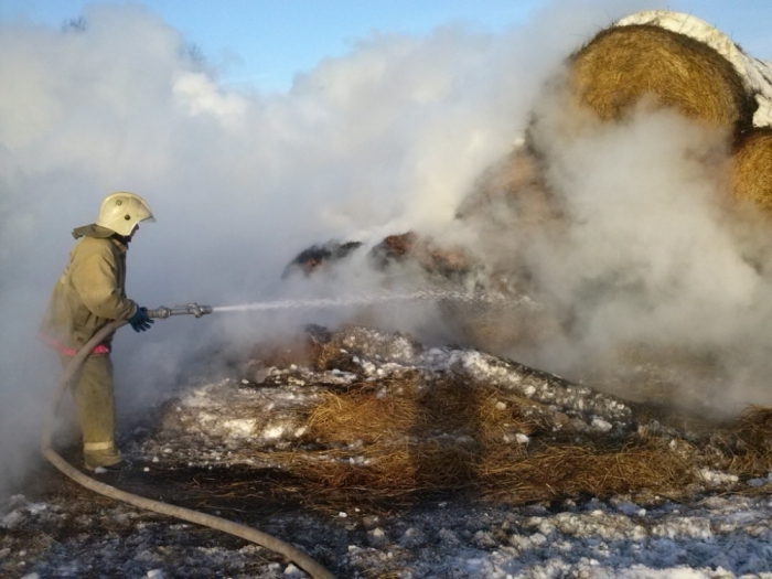 Пожарные спасли более сотни голов крупного рогатого скота в с. Улахан-Ан Хангаласского района