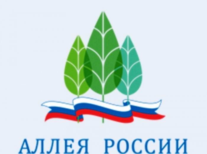 Продолжается голосование по выбору зеленого символа Якутии