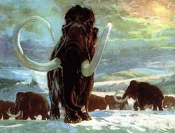 Палеонтологи обследуют захоронения мамонтов в двух районах Якутии