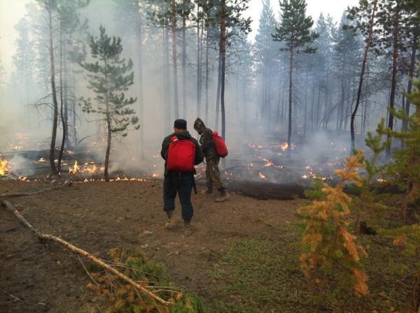 На территории Якутии действует 12 природных пожаров