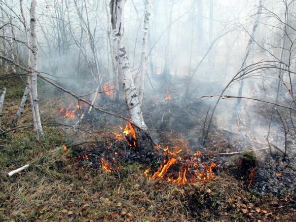 Огненная стихия в Якутии продолжает наступать 