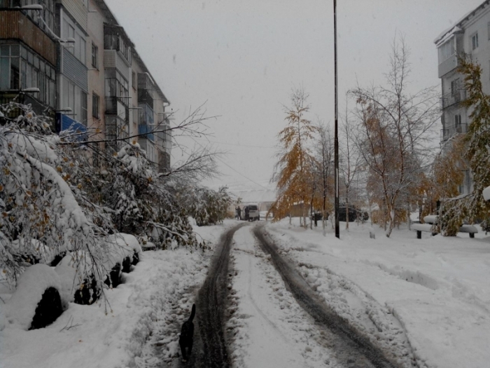 На юге Якутии более десяти тысяч человек остались без света из-за снегопада