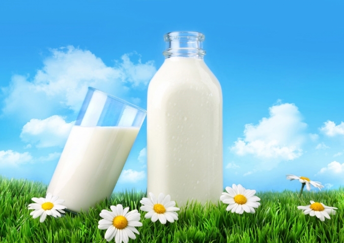 Союзмолоко: Безлактозное молоко может стать лазейкой для иностранных производителей