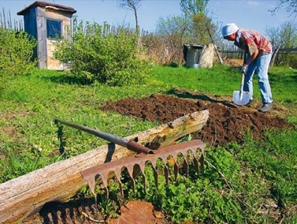 Земельщики Якутска проведут «Дачный десант» 