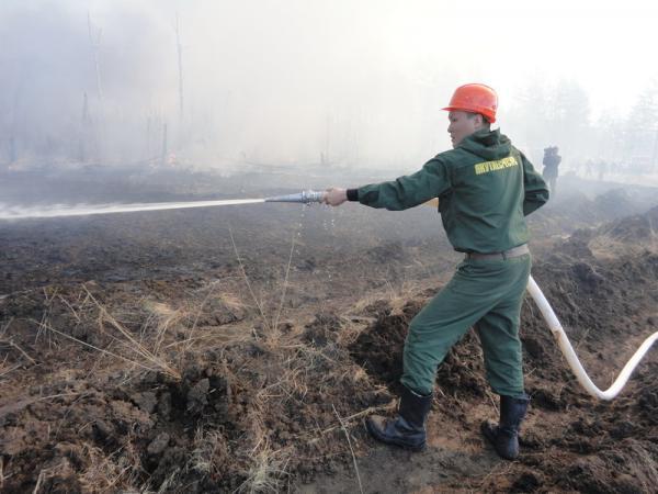 11 тысяч гектаров леса горит в Якутии