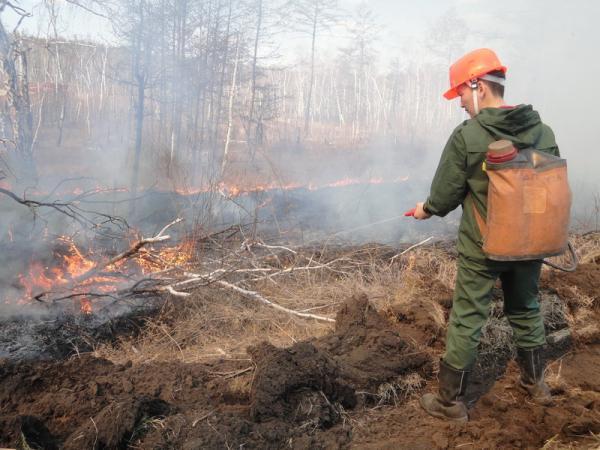 По состоянию на 27 мая в Якутии зарегистрировано два лесных пожара 