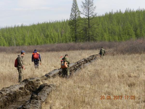 По состоянию на 9 июня лесных пожаров в Якутии не обнаружено