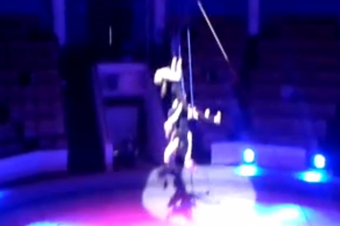 В Сахацирке во время репетиции гимнасток оборвался трос (видео)