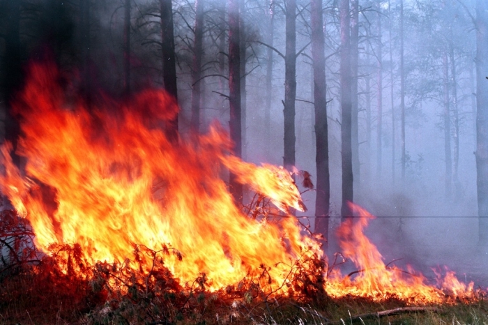 В Якутии за сутки выгорело свыше 10 тысяч гектаров леса
