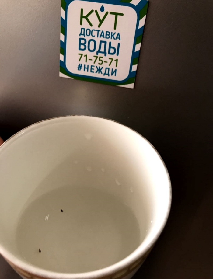 Компанию «Кут» обвинили в доставке воды с черной плесенью - Новости .