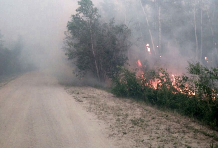 Большая часть дальневосточных пожаров за сутки произошла в Якутии