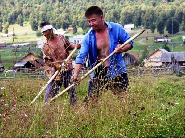 В Якутии реализуется пилотный проект по селу
