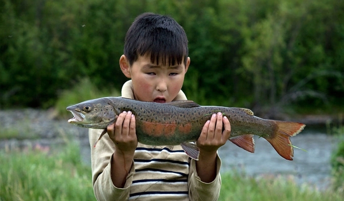 Парадокс: На севере Якутии дети недоедают рыбы