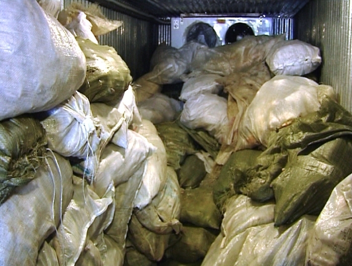 В Якутии выявили и задержали 15 тонн незаконно добытой рыбы