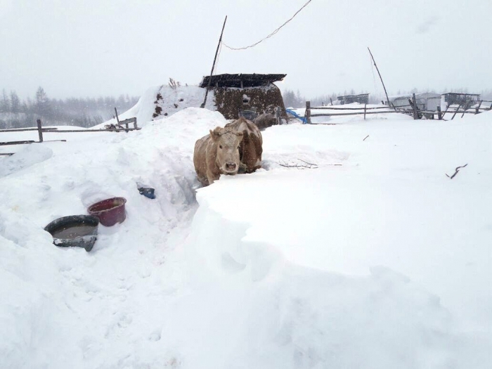 Циклон атаковал северные районы Якутии