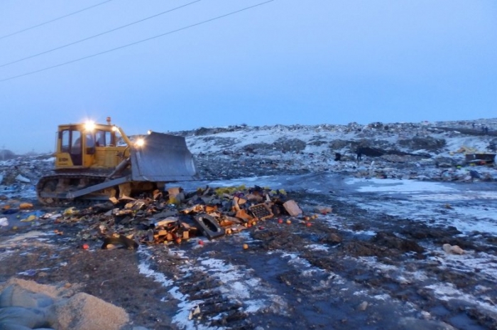 В Якутске выявили и уничтожили 121 килограмм санкционных груш из Польши