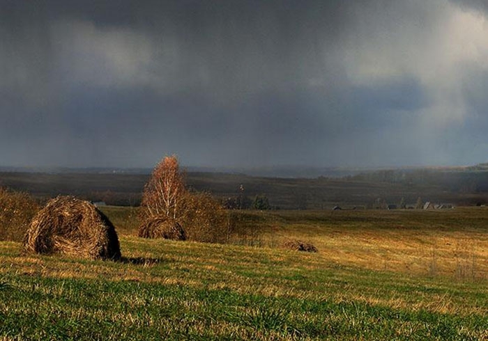 Сенокосную кампанию в Якутии омрачили ливневые дожди