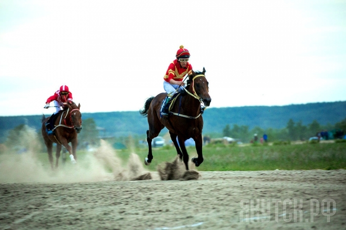 На Ус Хатыне можно будет лицезреть шесть стартов лучших лошадей верховой породы