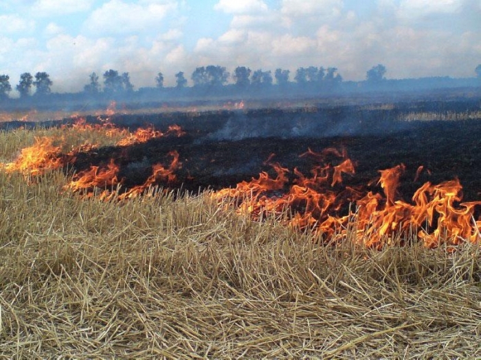 Сухая трава и курение в постели - основные причины пожаров в Якутии