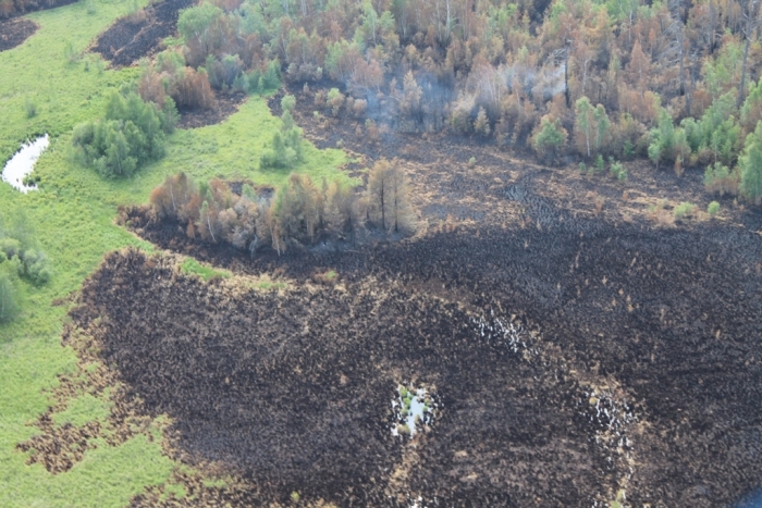 Пожар в природном парке «Ленские столбы» удалось взять под контроль