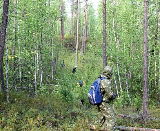Спасатели разыскивают братьев, ушедших в лес за грибами и не вернувшихся