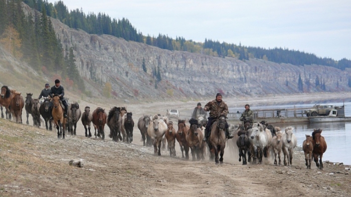 Жителям Якутии обещают 50 га земли для табунного коневодства