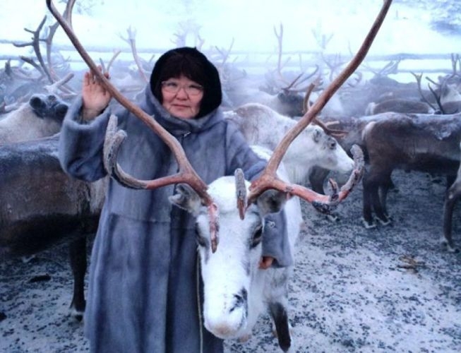 Елена Голомарёва: «Виновные в расстреле ездовых оленей в Булунском улусе должны быть наказаны»