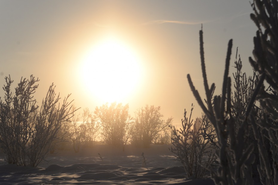 Солнечное 1 января 2021 в Якутске: Фотографии