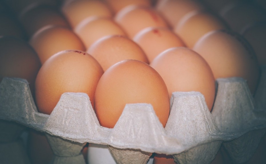 Производители яиц и мяса птицы предложили повысить цены на 10%