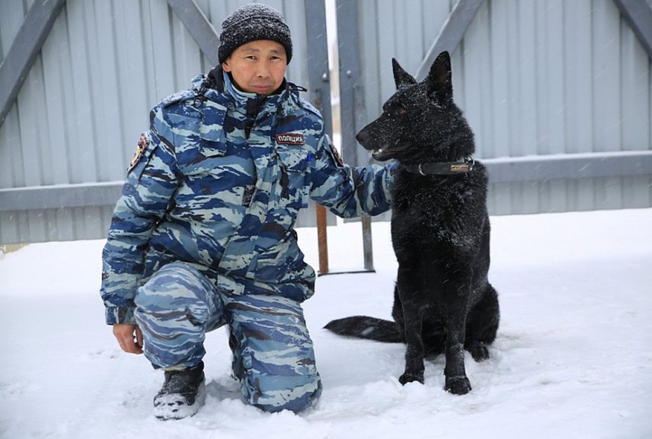 Служебная собака Арес вывела полицейских на след подозреваемого в угоне автомобиля в Якутии