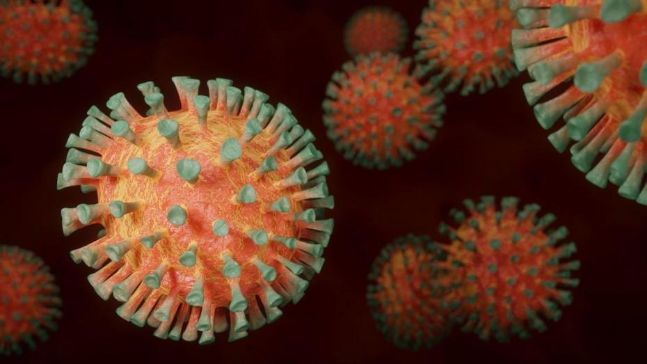Эксперт Роспотребнадзора считает, что Россия еще не прошла первую волну коронавируса