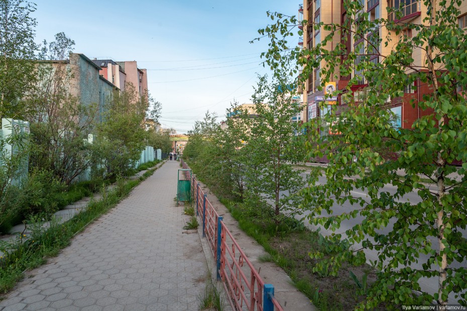 Стратегию по озеленению города разработают в Якутске