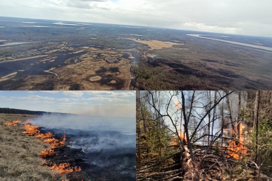 На территории Якутии действует один природный пожар