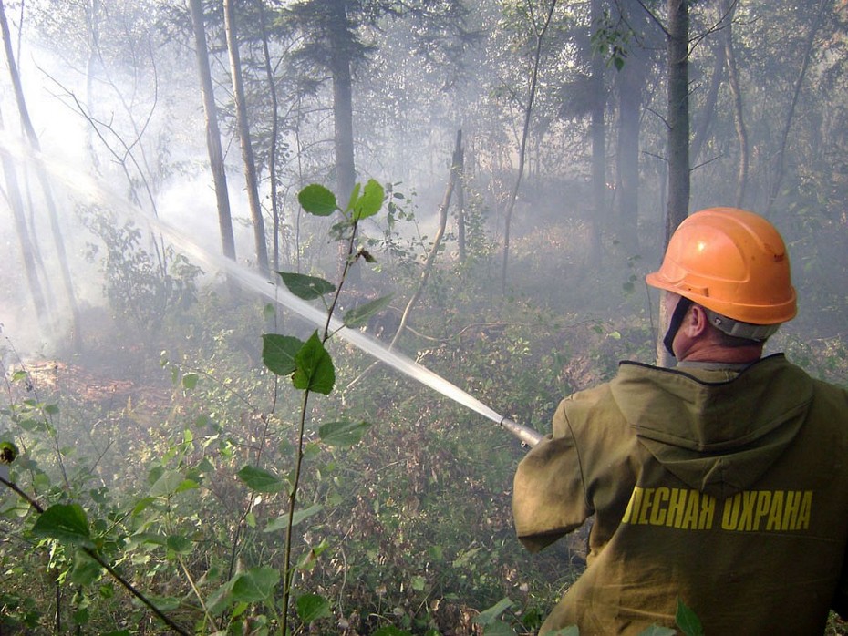 Оперативная информация о лесных пожарах в Якутии по состоянию на 18 мая