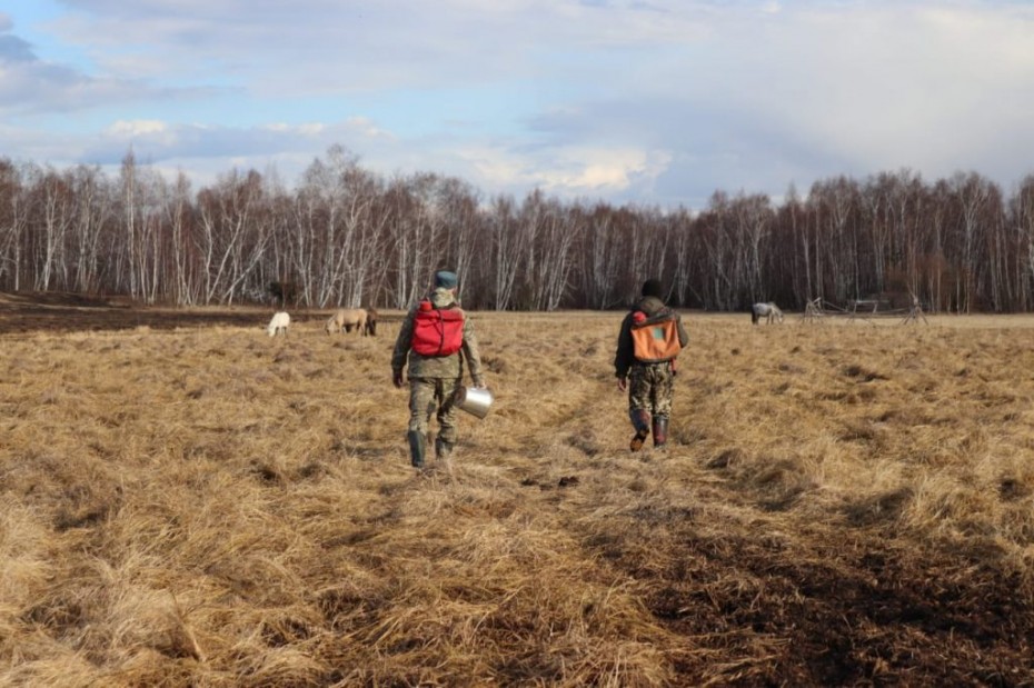 За сутки в Якутии ликвидировано пять природных пожаров