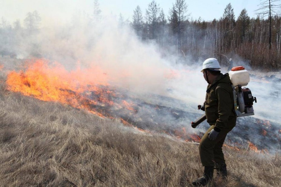 На территории Якутии действует 22 природных пожара
