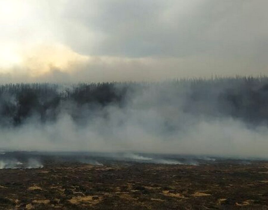 Меры по тушению 25 лесных пожаров предпринимаются в Якутии