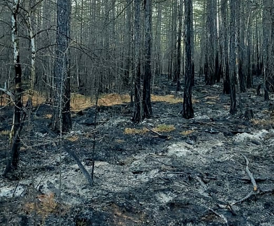 На территории трех районов Якутии действуют крупные природные пожары