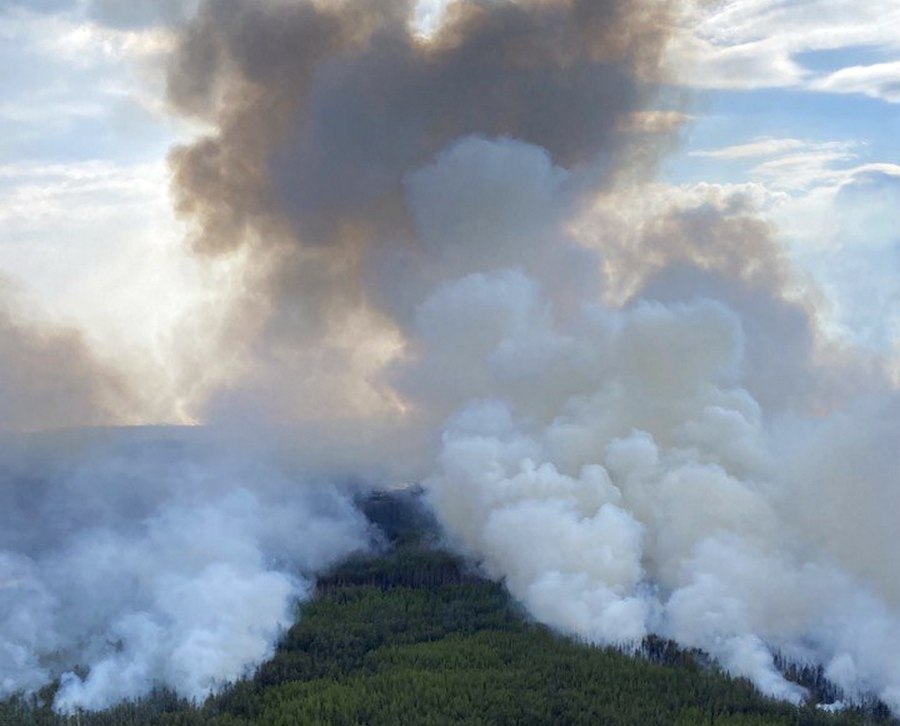 Восемь лесных пожаров тушат в Якутии